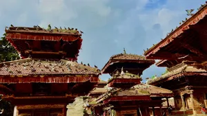 Universal light