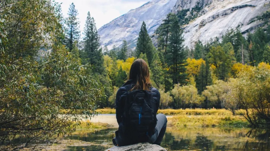Dishonesty & doubt