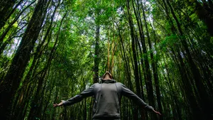 Business according to nature